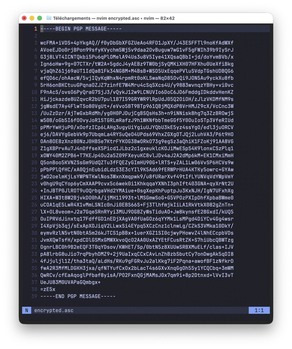 Le message chiffré ouvert dans un éditeur de texte : un bloc PGP de trente-neuf lignes, de « BEGIN PGP MESSAGE » à « END PGP MESSAGE ».